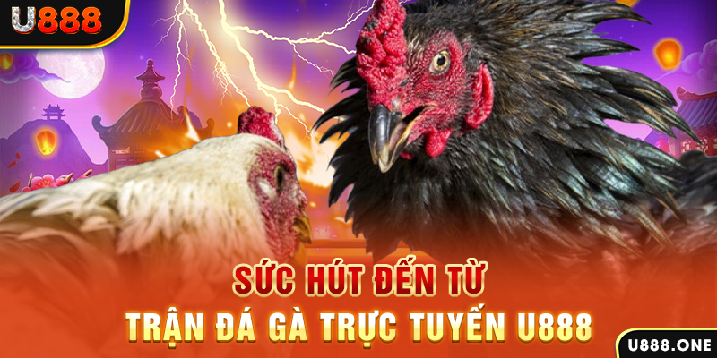 vietjack 12 đá gà trực tiếp c1