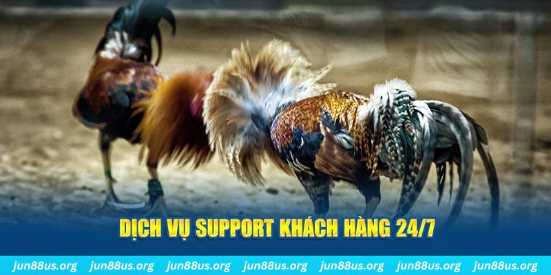 vietjack 12 ÁT CHỦ BÀI GIÀNH LẤY ZHUANG NIUNIU ( XEM 4 LÁ )