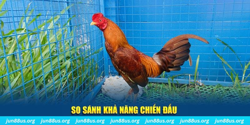 vietjack 12 CQ9 Điện Tử