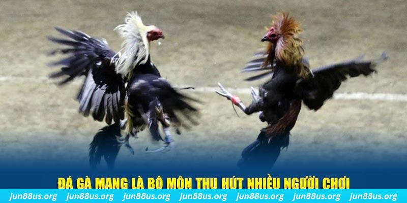 vietjack 12 bắn cá au88
