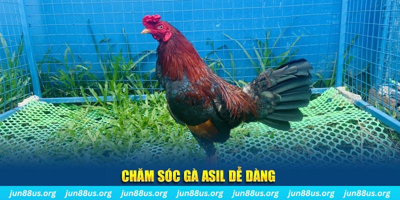 game bài là gì