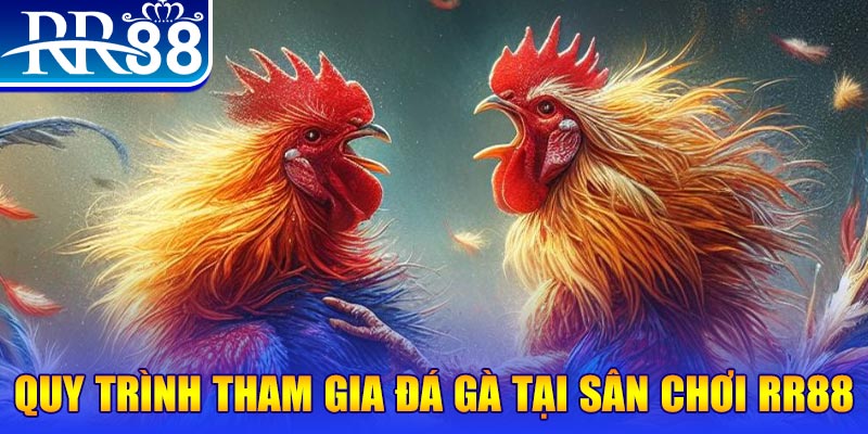 vietjack 12 đá gà cam 67