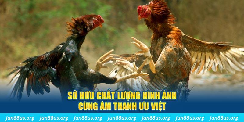 vietjack 12 PP Điện Tử