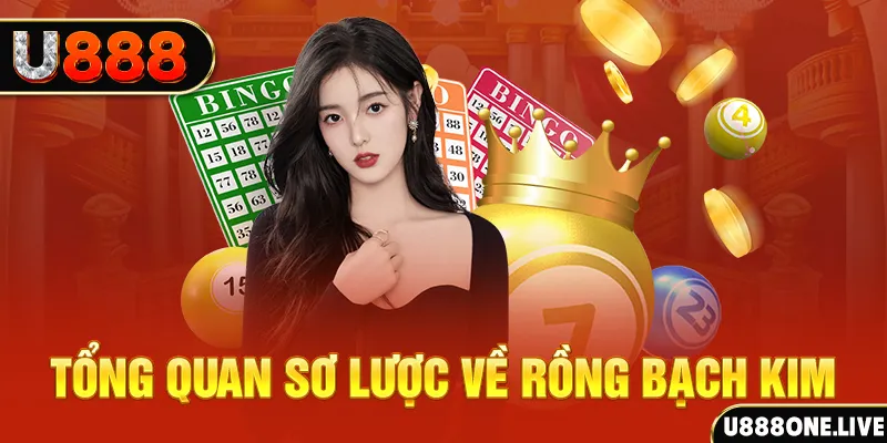 vietjack 12 hũ 8 bit nổ như thế nào