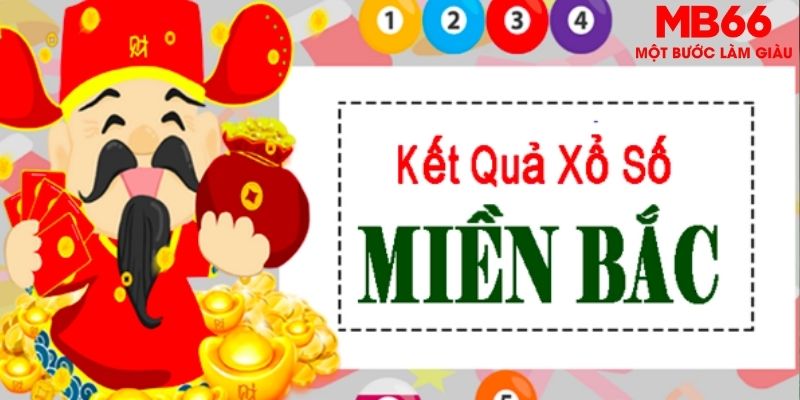vietjack 12 chọi gà