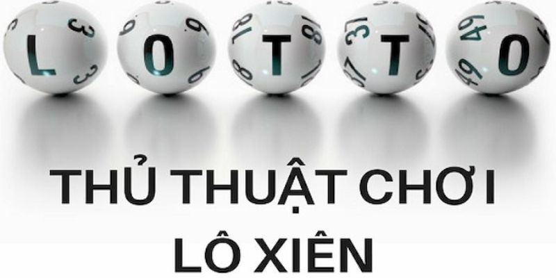 vietjack 12 trực tiếp đá gà thomo