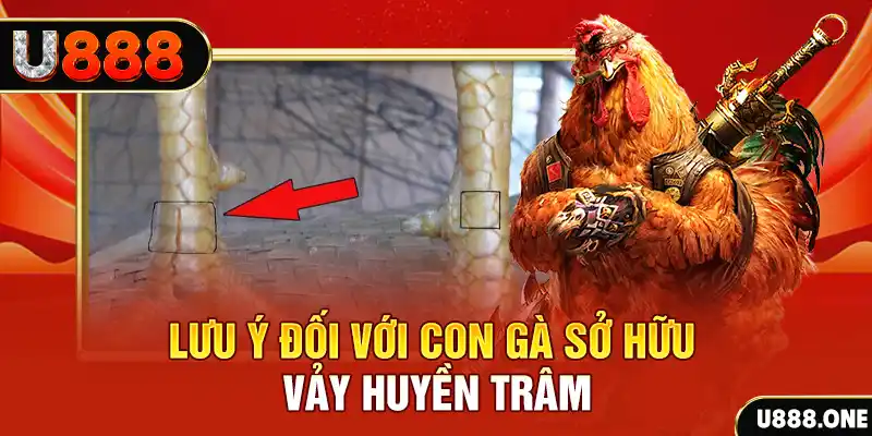 vietjack 12 kết quả xổ số miền nam hôm nay