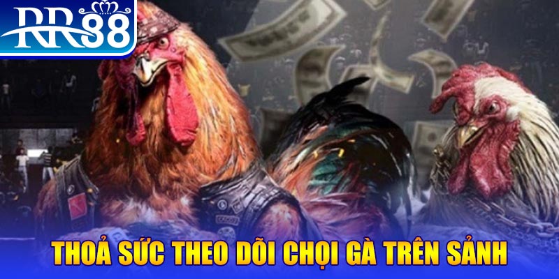 vietjack 12 trực tiếp đá gà c1