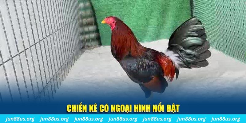 vietjack 12 game nổ hũ là gì